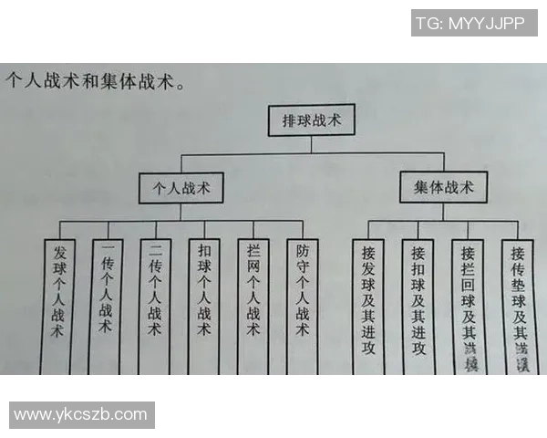 西安排球队中路突破战术解析与实战应用探讨 西安排球队中路突破战术解析与实战应用探讨